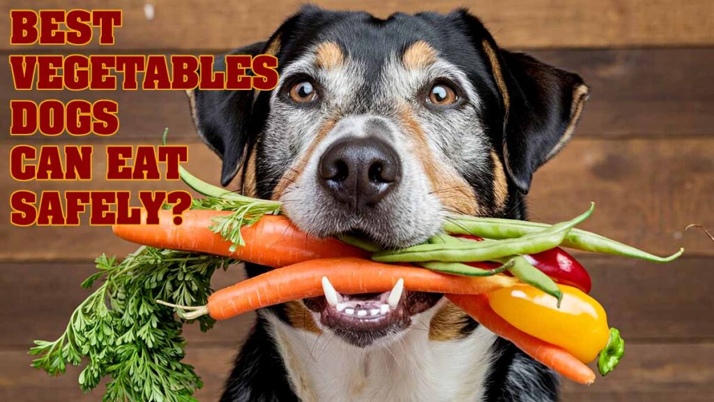 Best Vegetables Dogs Can Eat Safely?