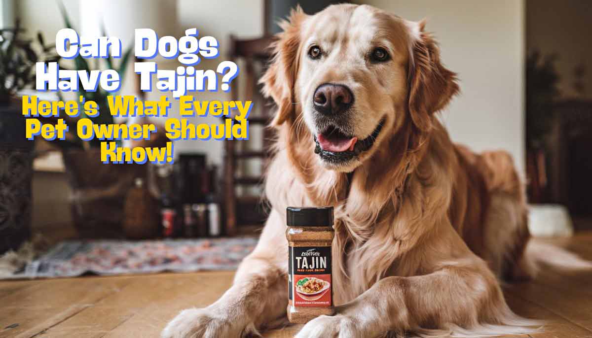 Can Dogs Have Tajin
